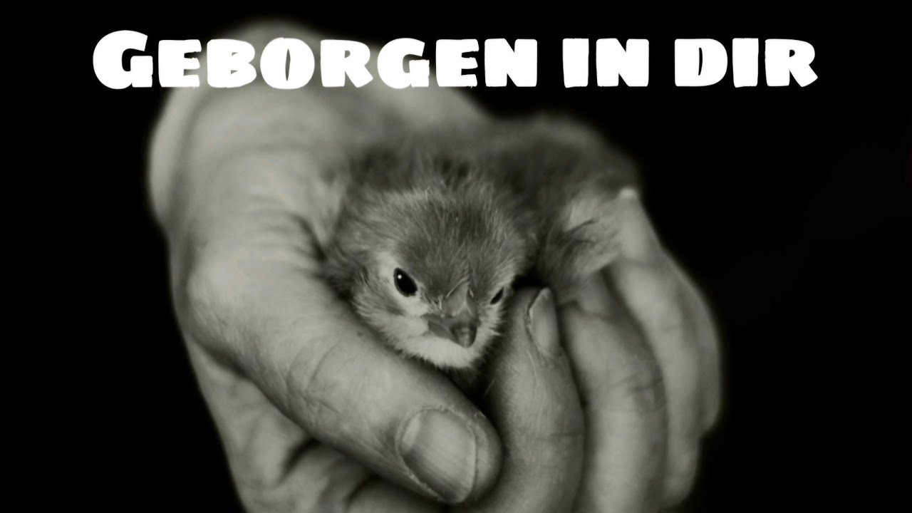 GEBORGEN IN DIR - JULIETTE VICHONT
