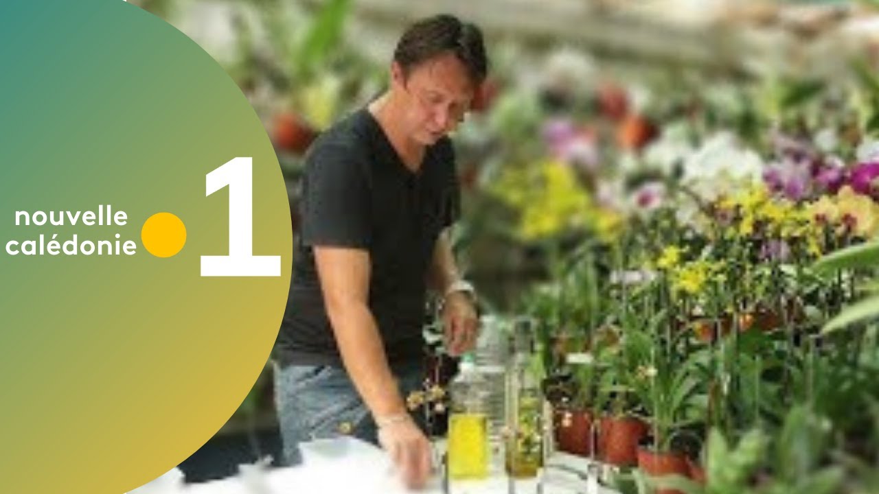 3 - Astuce jardinage : Insecticide &agrave; l'ail