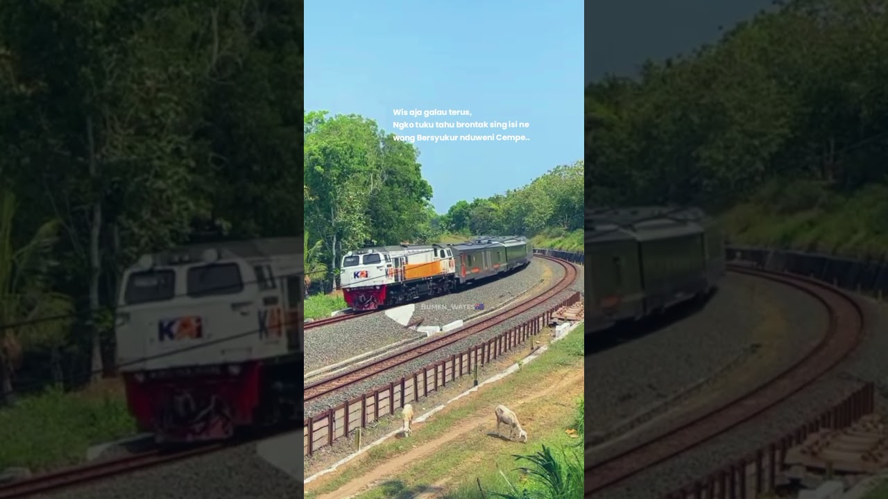 KA Malabar menikung #keretaapi #keretaapiindonesi #keretaapiindonesia #train #kamalabar