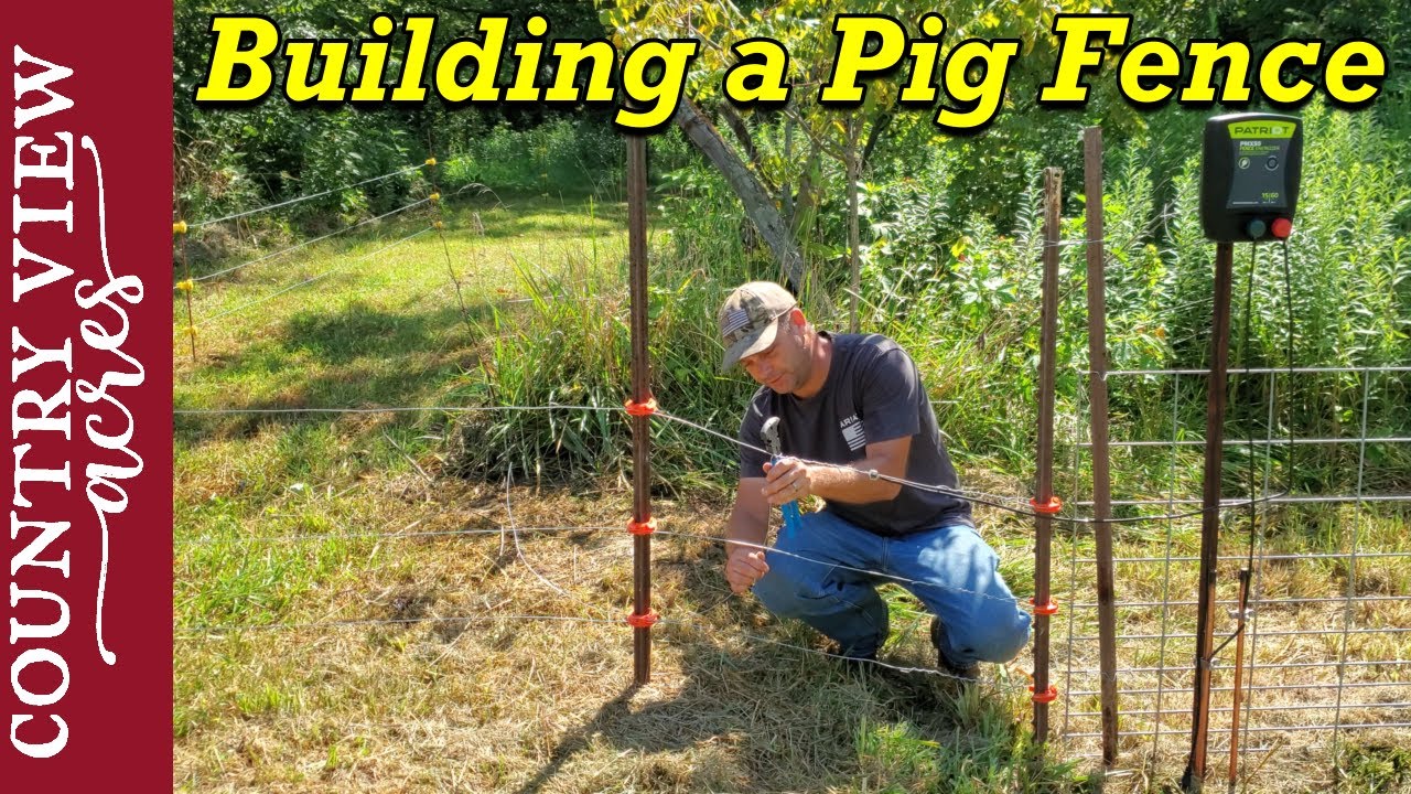 Building a Bigger Pig Pen.  Setting up Electric fence.