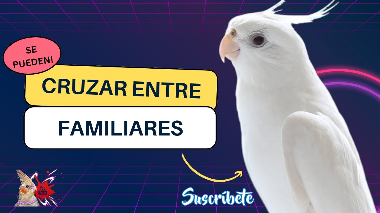 Ninfas Cruces Entre Familiares Introducción