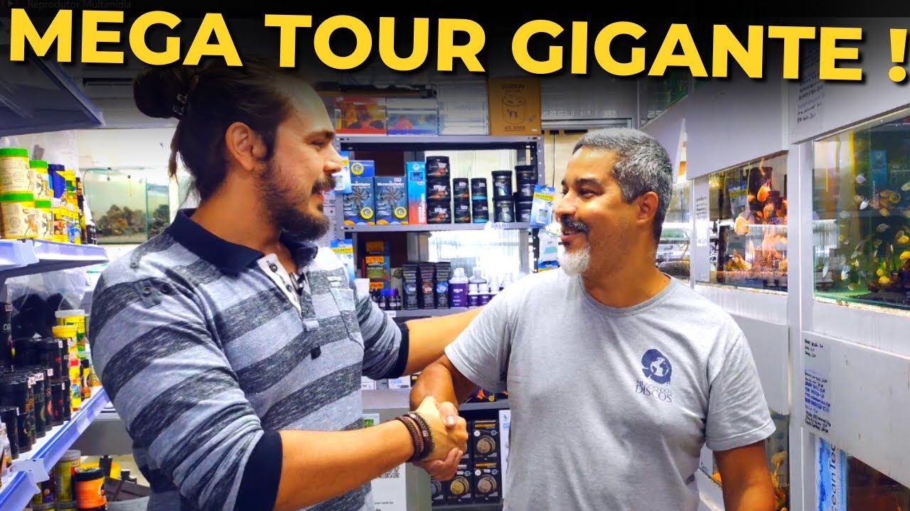 🔴MEGA TOUR PELA LOJA MUNDO DOS DISCOS! |Mr. Betta|