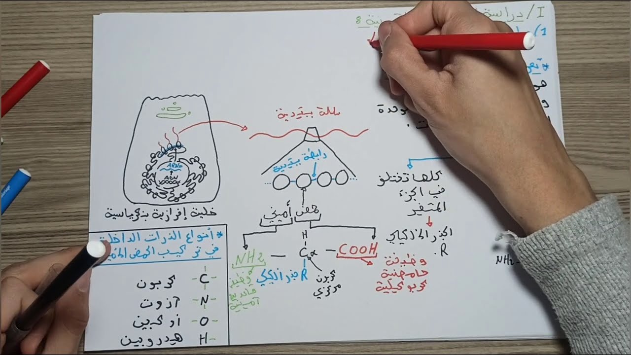 اقوى مراجعة للوحدة 2 : العلاقة بين بنية ووظيفة البروتين ( من الالف الى الياء ) الجزء الاول