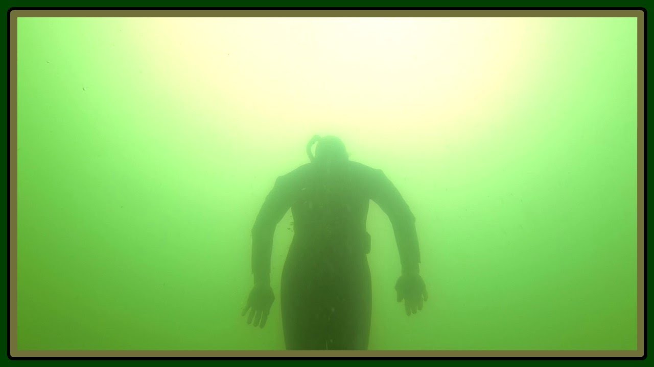 Unterwasserwelten der Feldberger Seenlandschaft I