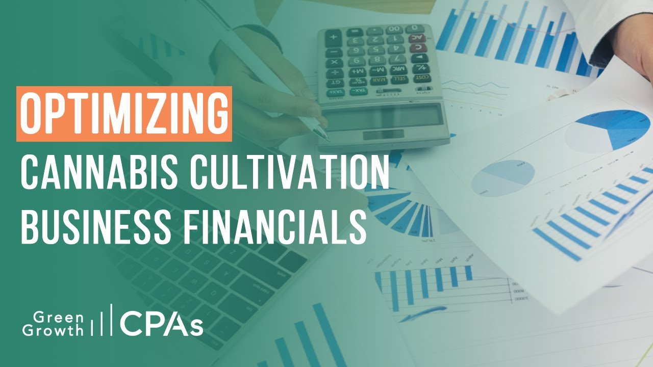 Optimizing Cannabis Cultivation Business Financials [Cannabis Accounting]