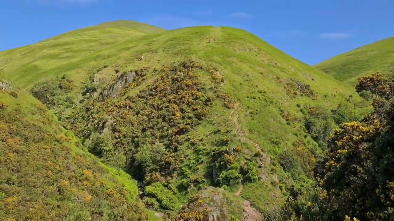 Tillicoultry Glen