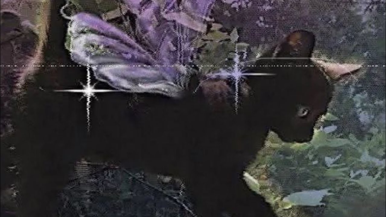 Gatito Joseador (Full Álbum)