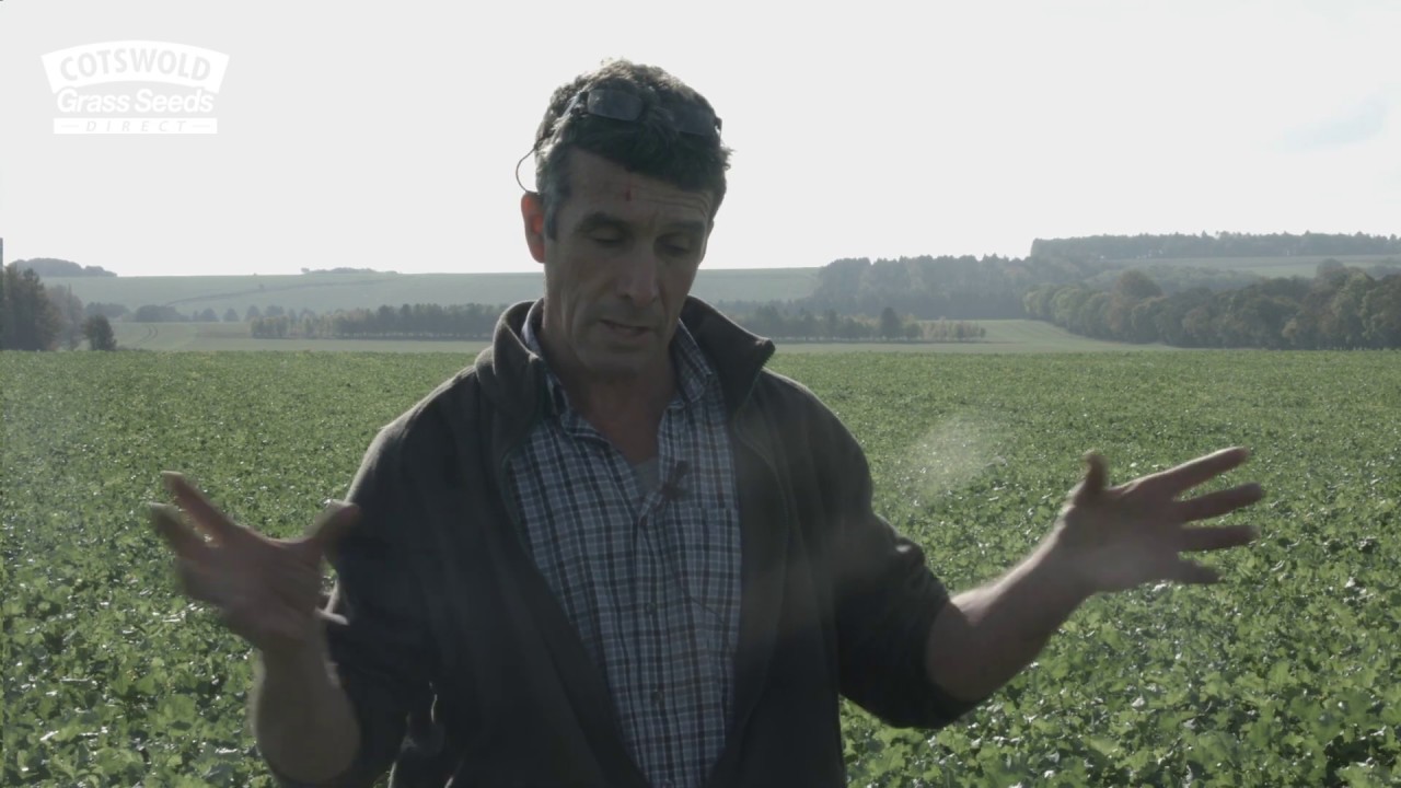 Cotswold Seeds First Hand: Cover Crops with Julian Gold