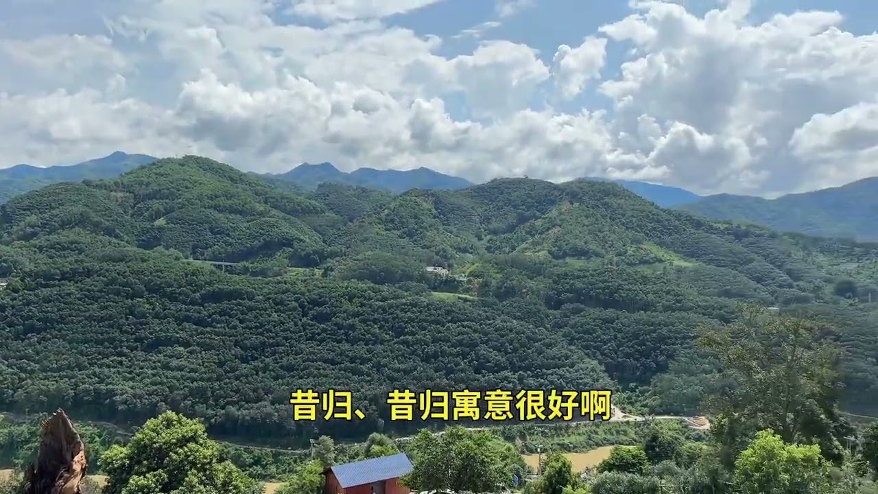普洱茶三分天下的昔归老寨！今天进寨子蹭喝一下