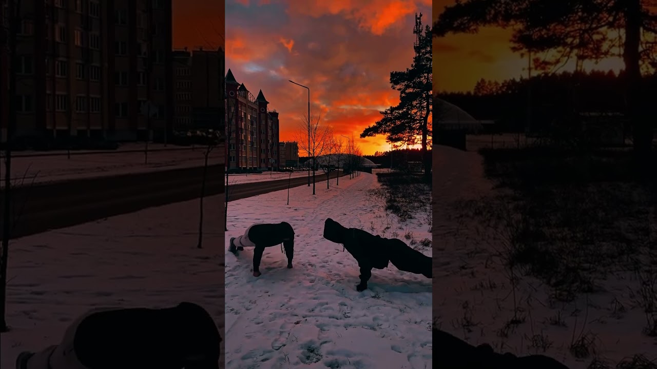 The start of the year.