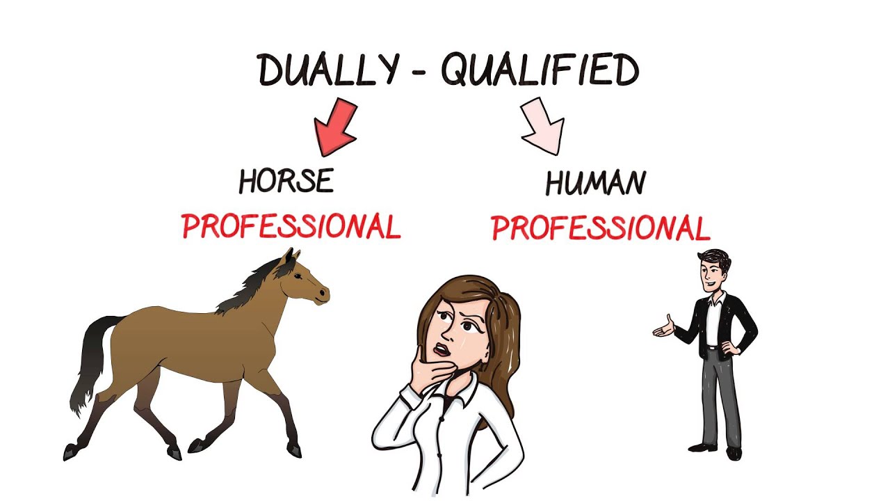 What is equine assisted learning and therapy?