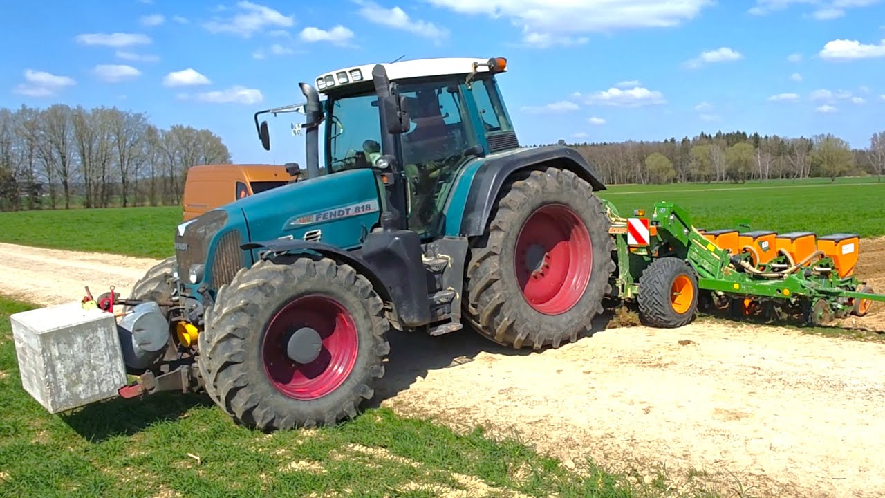 Fendt 818 TMS Vario Spezial mit 12 - Reihen AMAZONE ED 602-K beim Rüben legen 2025
