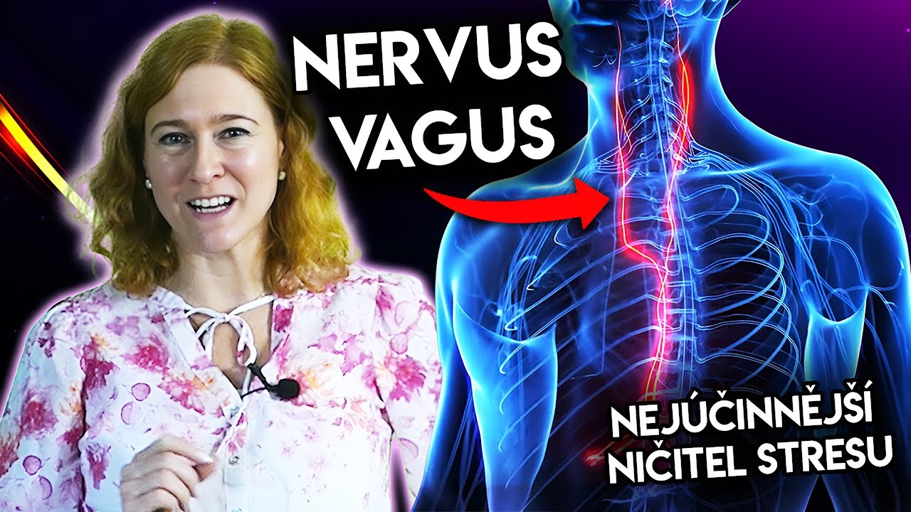 NERVUS VAGUS: Tajemný Vypínač Stresu! + 2 Cviky Pro Okamžitý Rela