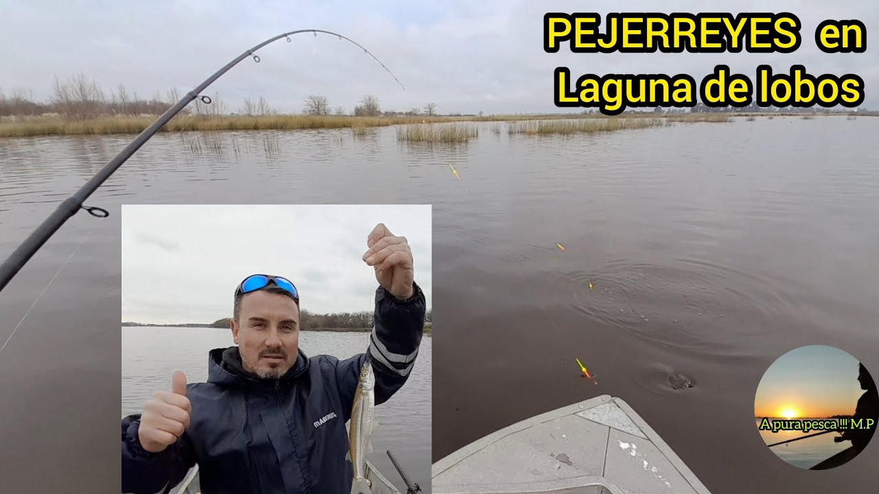 Pesca de pejerrey en la laguna de LOBOS//la verdad sobre la laguna de lobos