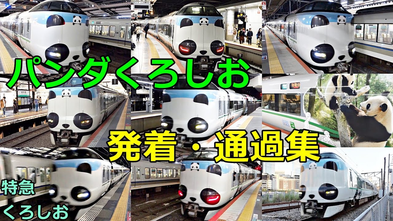 JR西日本 「パンダくろしお」発着・通過集🚃どんどん電車が発着・通過！●新大阪、京都、天王寺、鳳、日根野 等