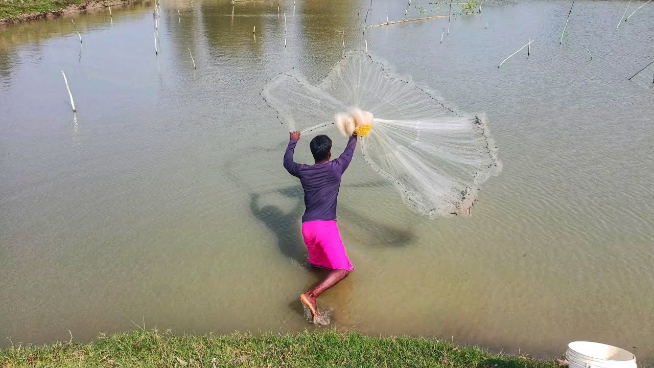 Amazing Cast Net Fishing In Heavy Rain - Unbelievable Catching Fishing Video