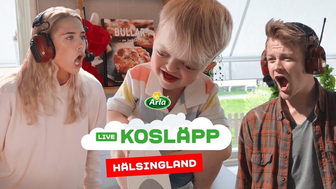 Digitalt Kosläpp på Arlagård i Hälsingland