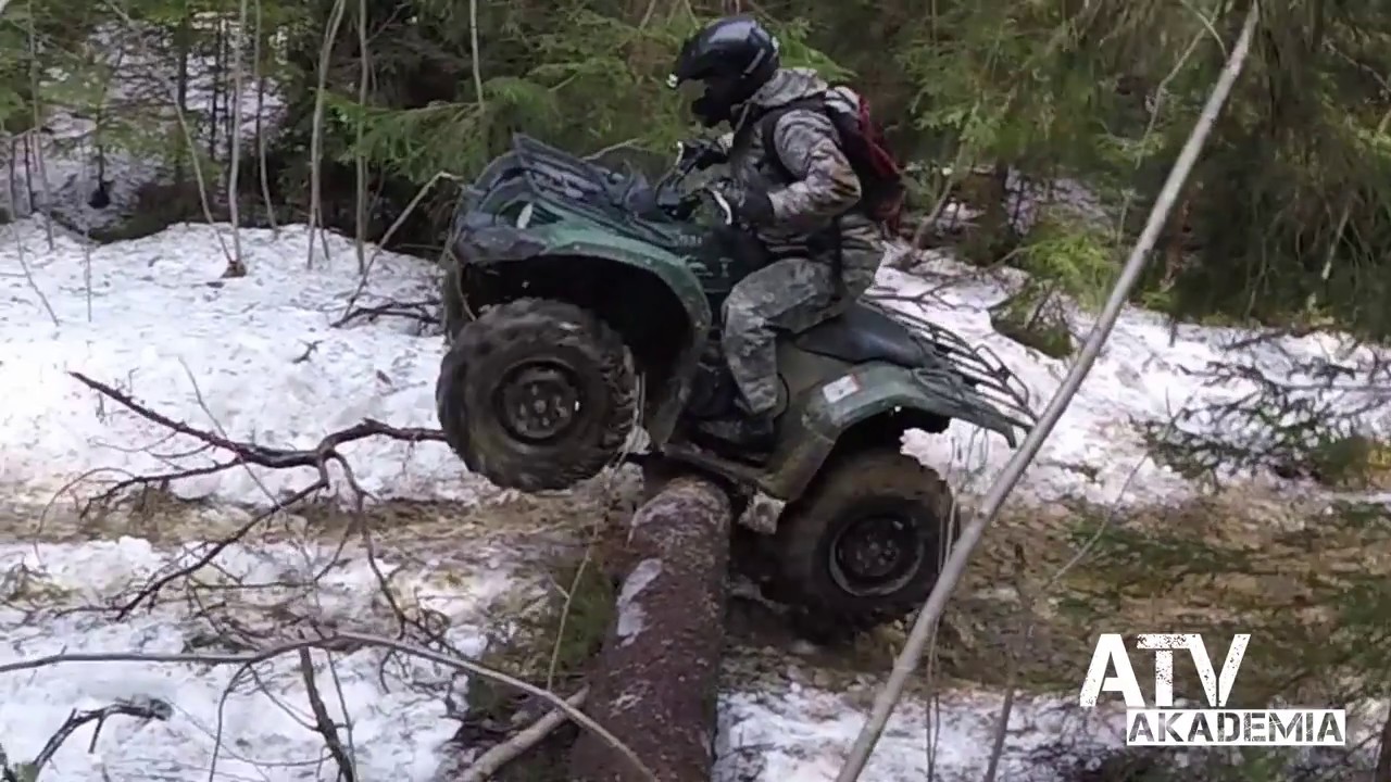 Jak pokonywać drzewa na quadzie ? Nauka jazdy quadem od ATV Akademia