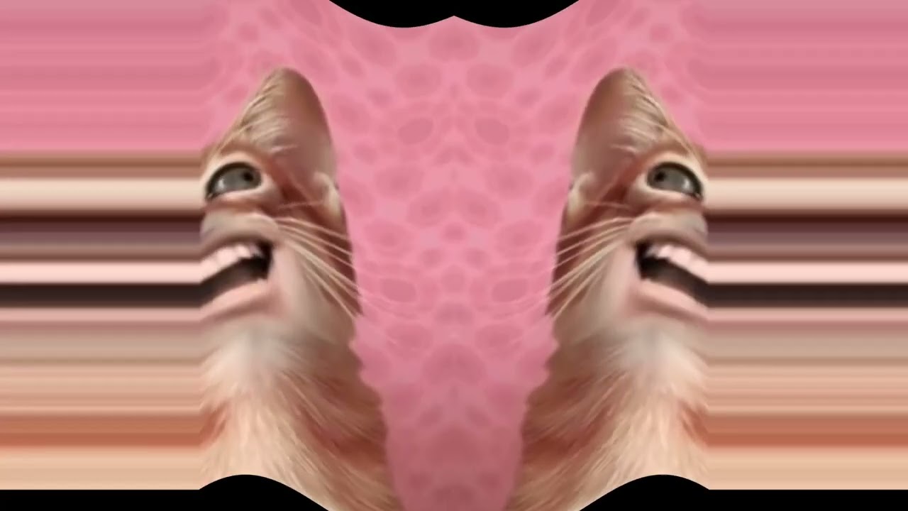 Numa cat effects by arbunny effects