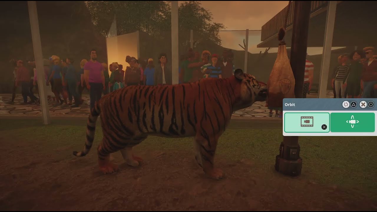 Tiger habitat 🐯 walkthrough Sandbox Zoo plants and enrichment Planet Zoo