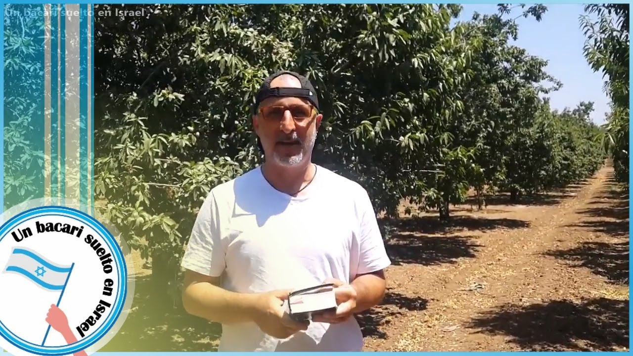 El Almendro y la Biblia