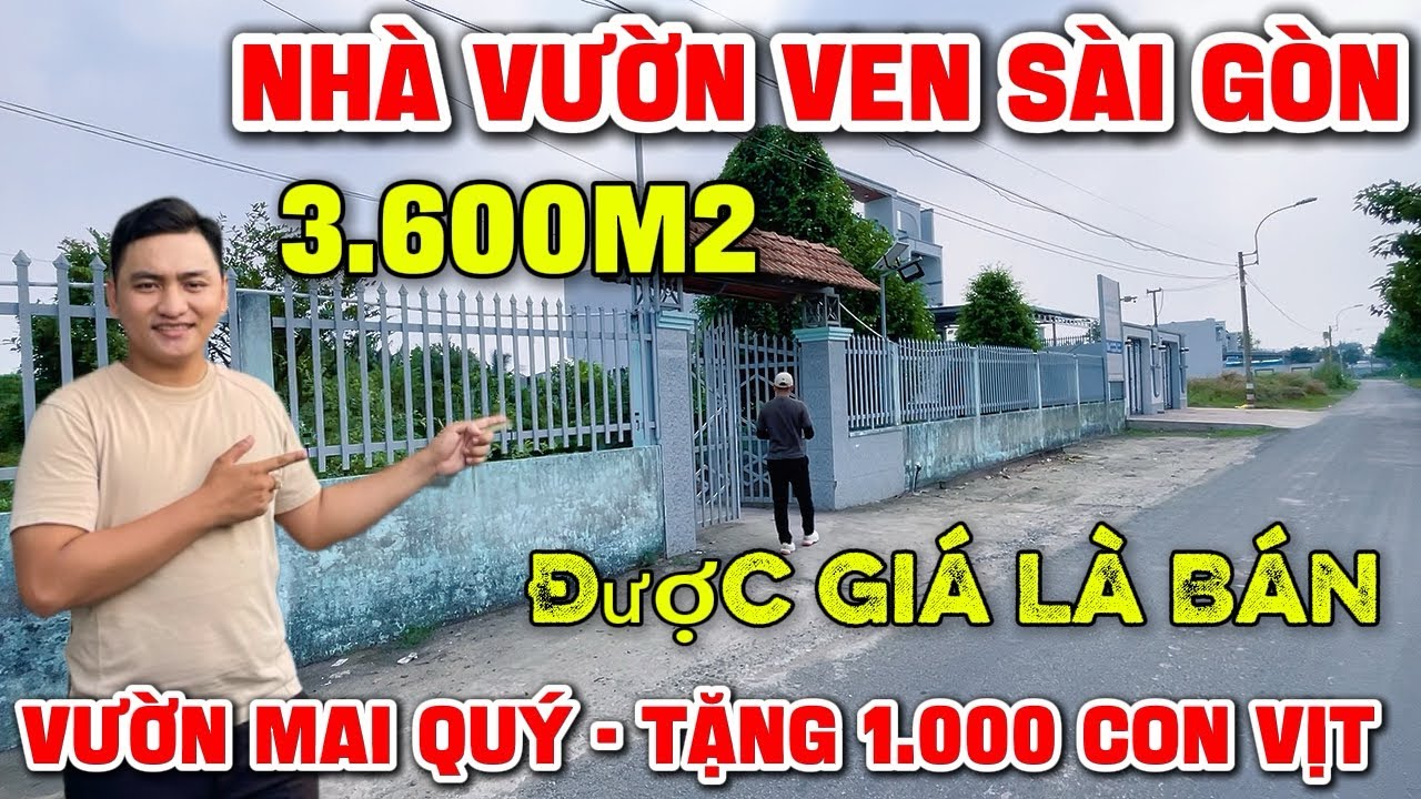 Tập 258 | NHÀ VƯỜN VEN SÀI GÒN 3.600m2 Có 1.100m2 Thổ Cư Có Sẵn 1.000 con vịt Tặng 100 Cây Mai Quý ✅