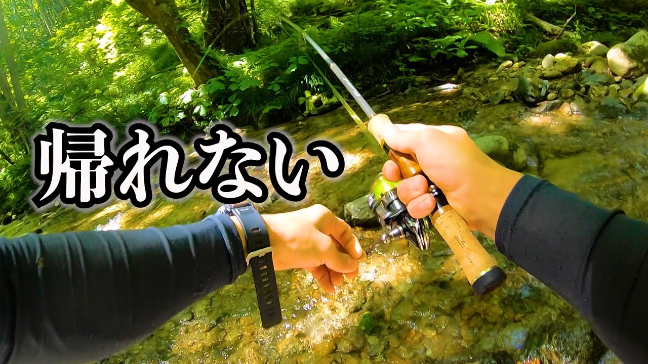 【爆釣】釣れすぎて帰れない！断崖絶壁を越えた先の楽園/Mountain stream fishing