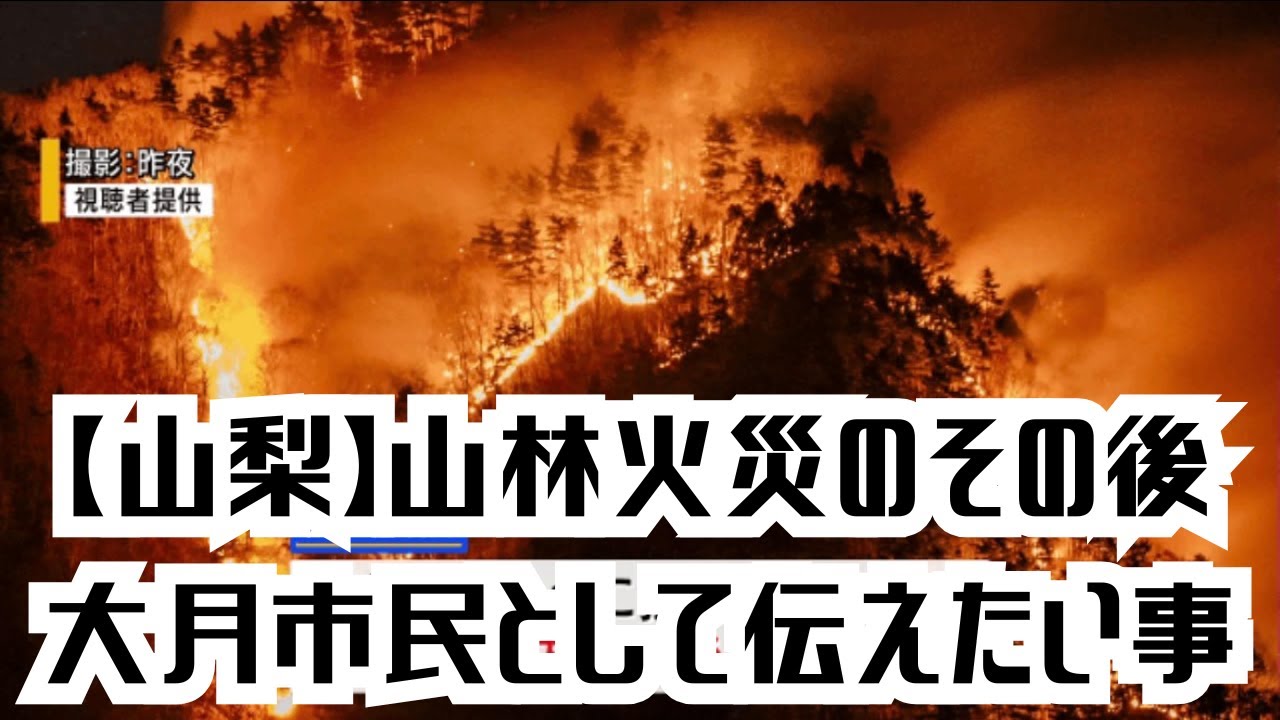 【戦後最大被害】山梨県で起きた山林火災の“その後”｜大月市民として、今伝えたいこと