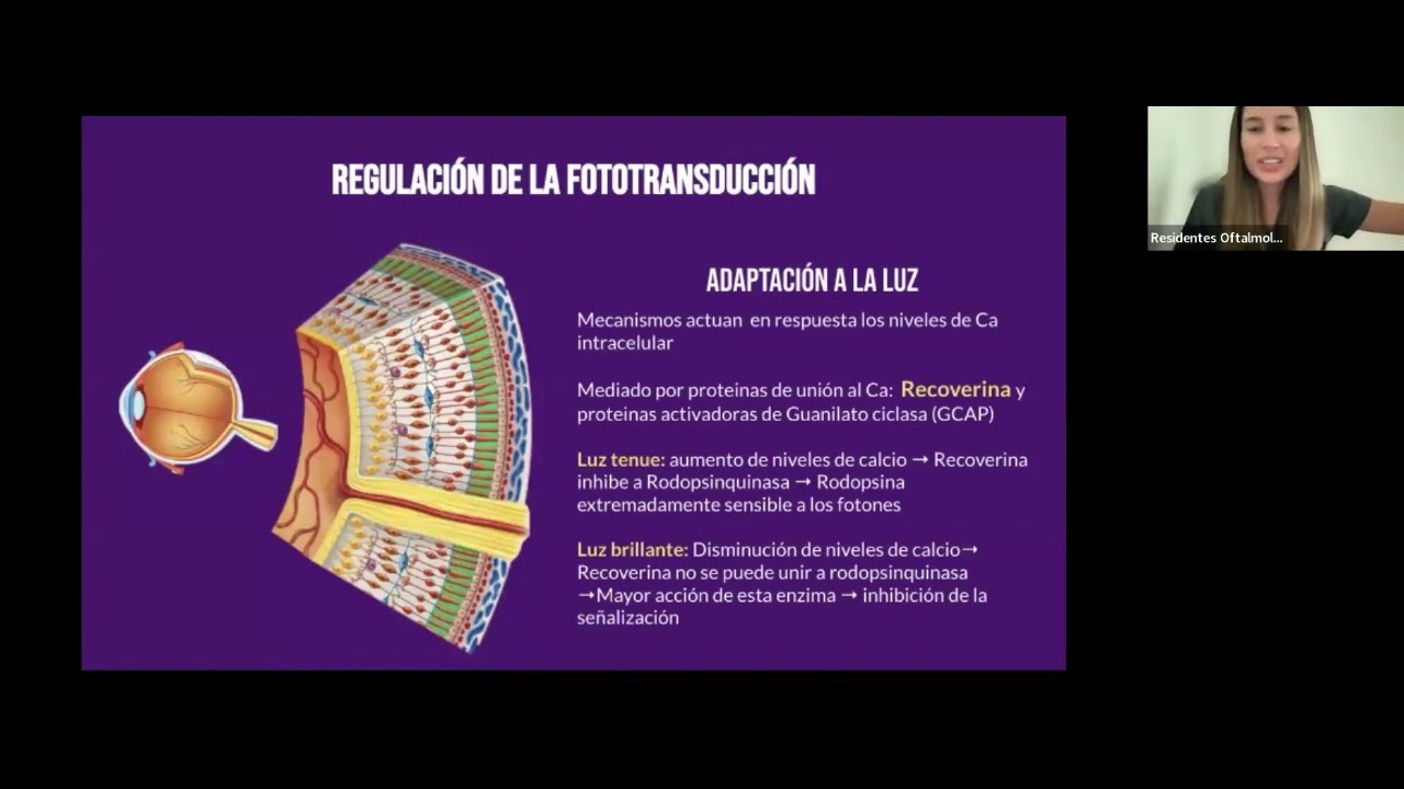 Retinopatía autoinmune - Dra Valeria Cortes
