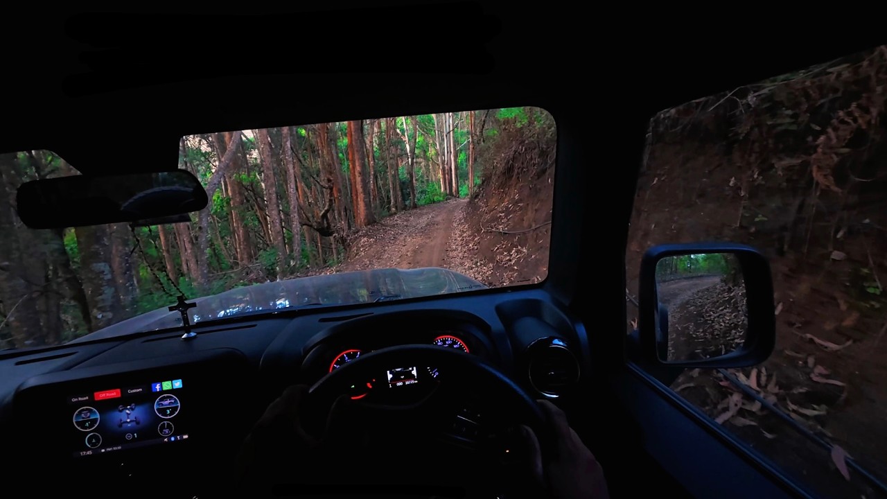 ASMR - Pure Raw Trail | Mahindra THAR 4X4 | 2.0L m-Stallion_150hp_Petrol_Turbo | Dense Forest Crawl.