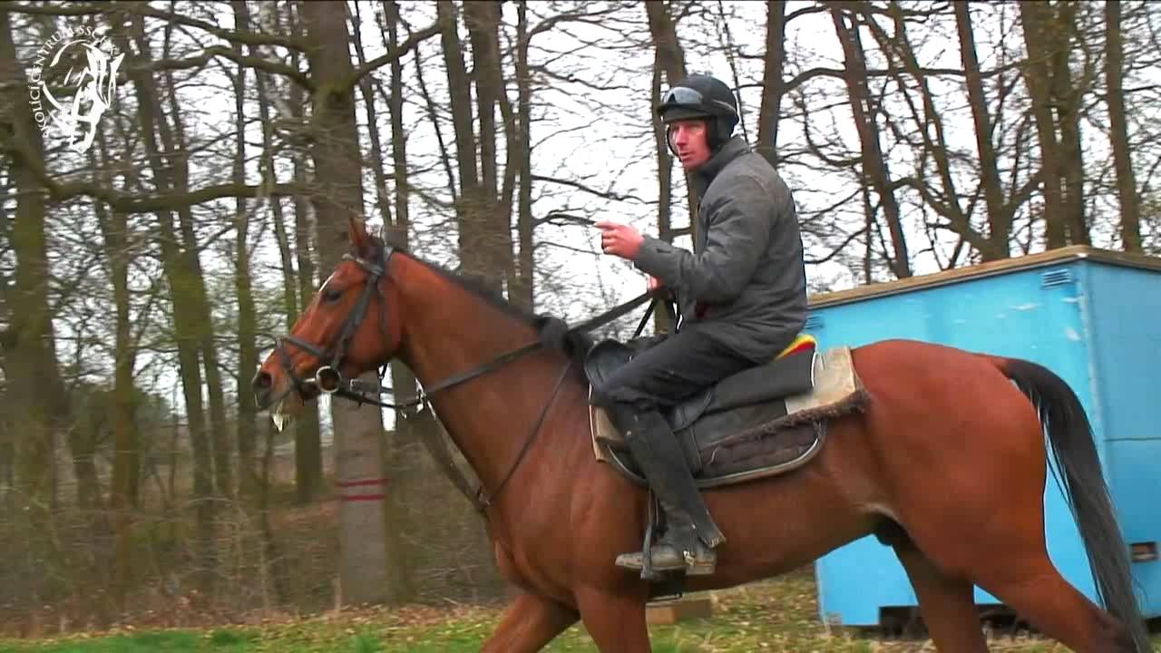 I. Trénink koně pro debut ve steeplechase s JAROSLAVEM MYŠKOU