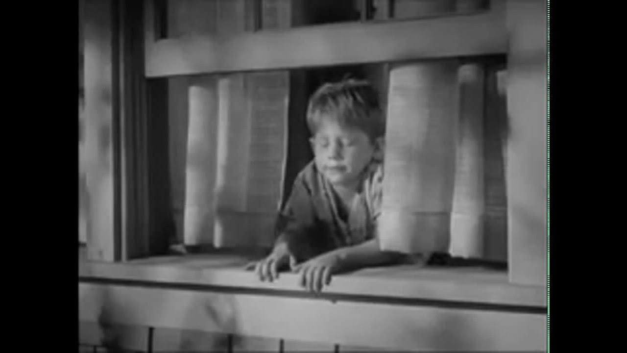 Great Moments in Film and Television:  Opie decides to keep Aunt Bea