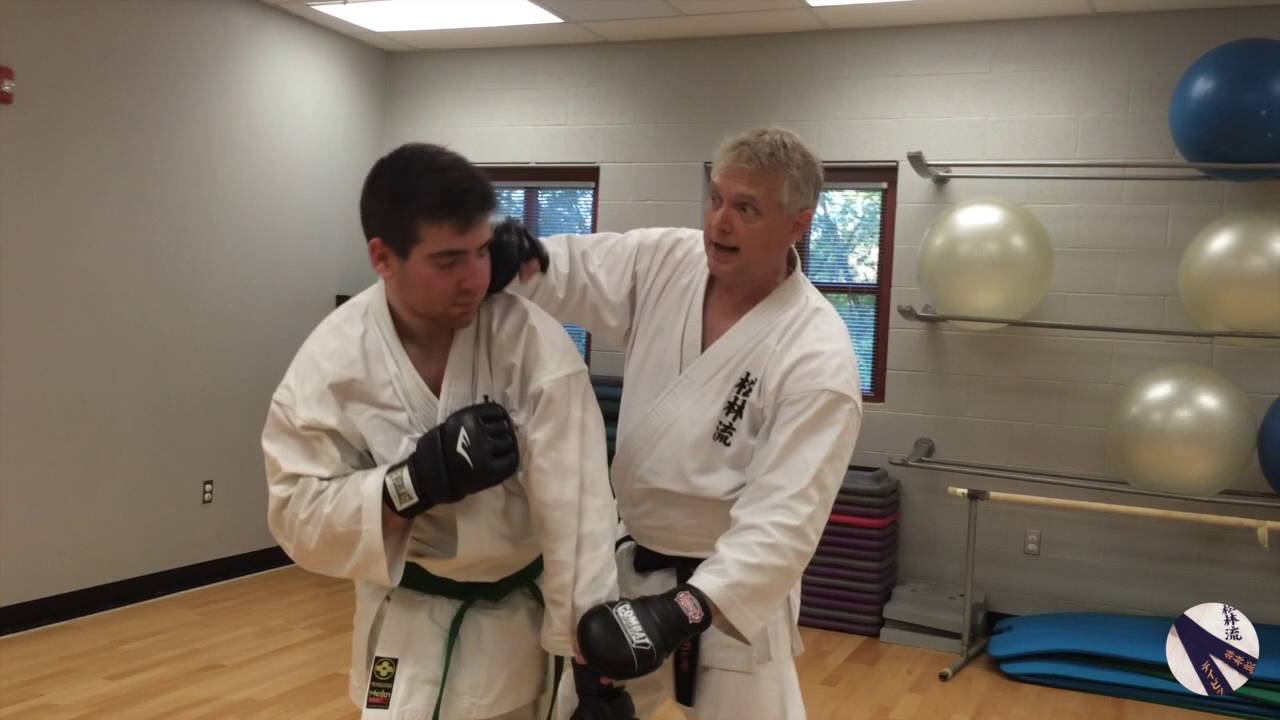 Fukyugata Ich Kata Based Sparring 1