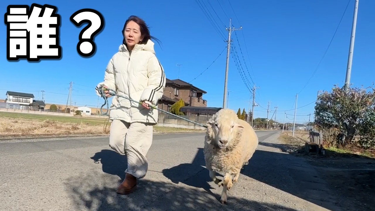 嘘だろ・・・？！