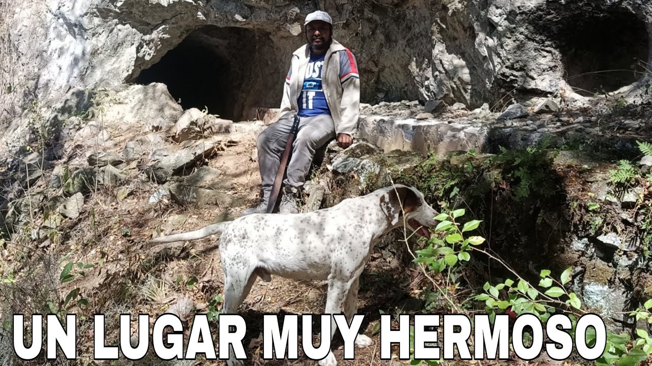 , ES UN VERDADERO TESORO, este lugar,   sierra Juárez OAXACA..