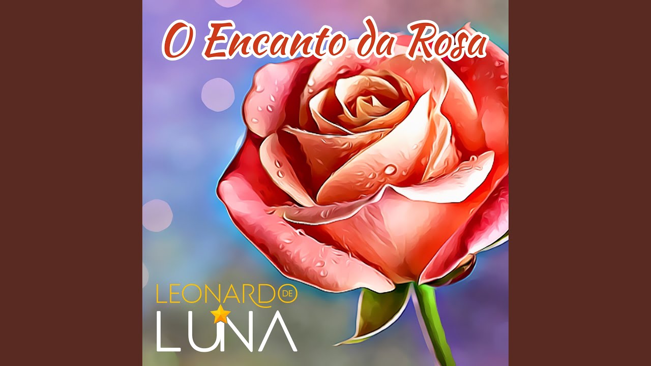 O Encanto da Rosa
