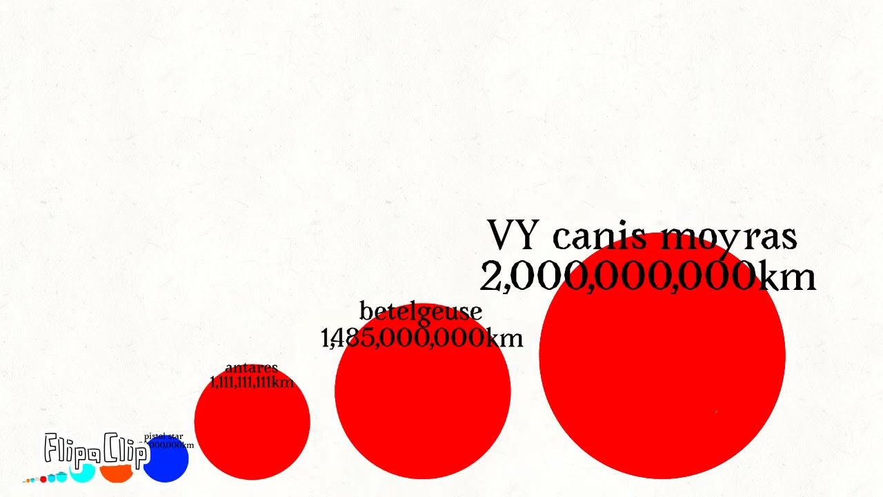 Universe size compisron 2026 