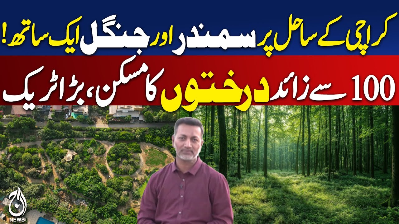 Karachi Mini Maldives | Mangrove Bio Diversity Park | Mangrove Forest |Forest in Karachi