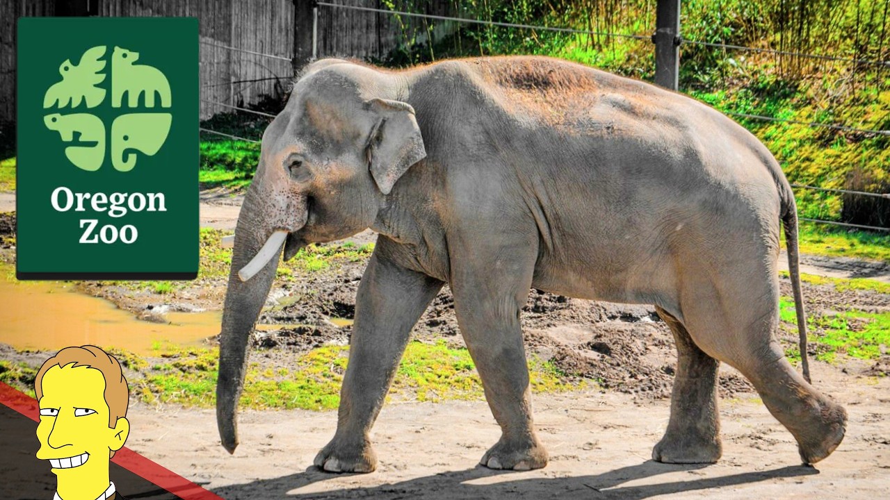 Full Tour of the OREGON ZOO!