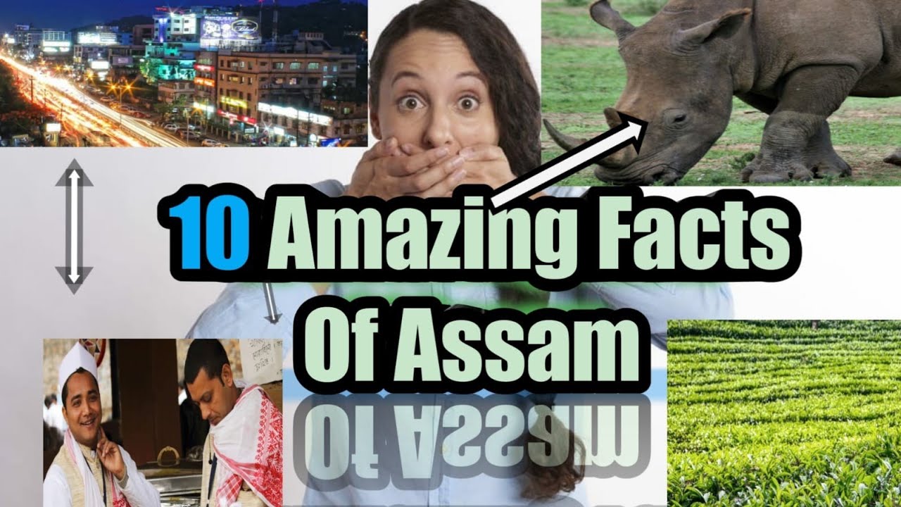 असम के कुछ अनसुने बाते | Assam | Interesting facts about Assam| @FactTechz