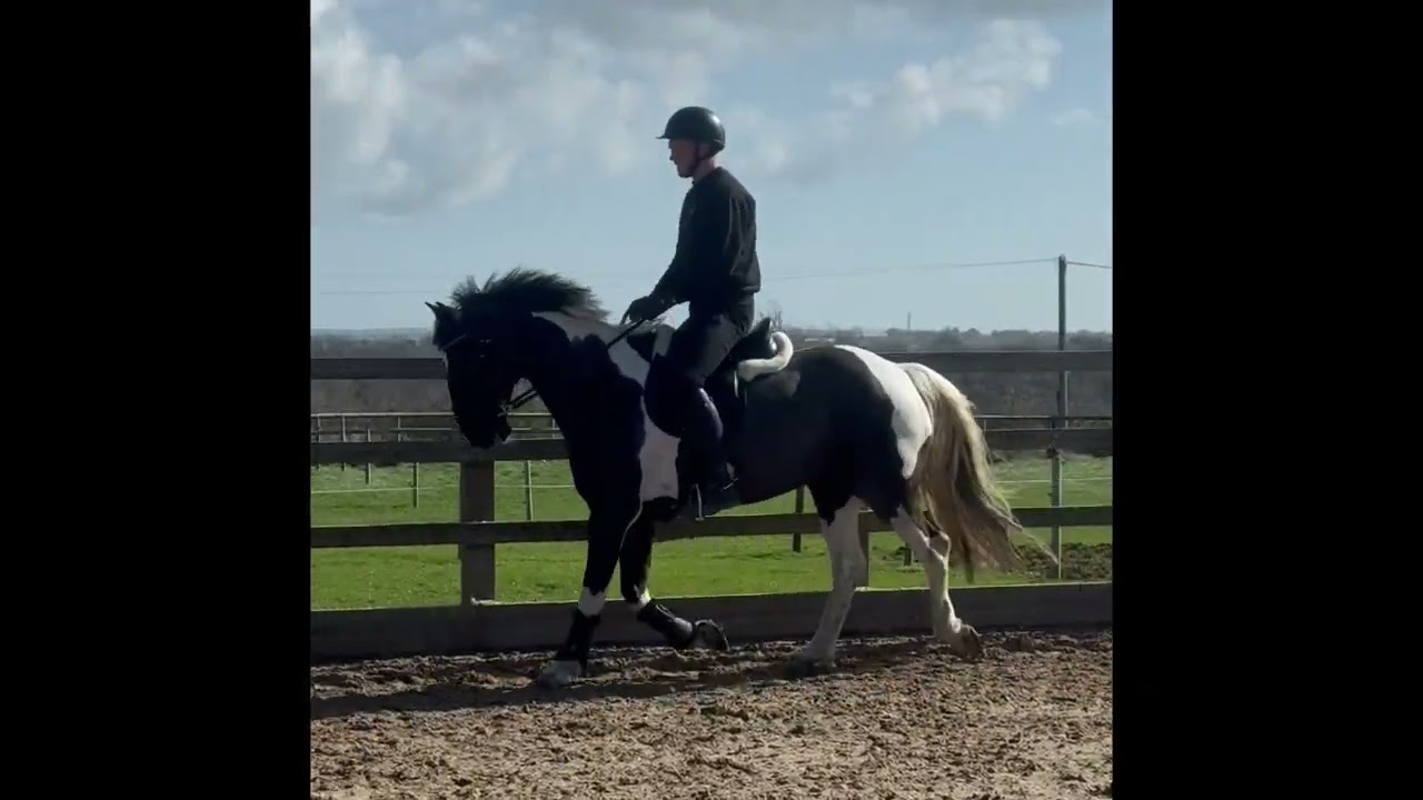 Albie 14/03/26