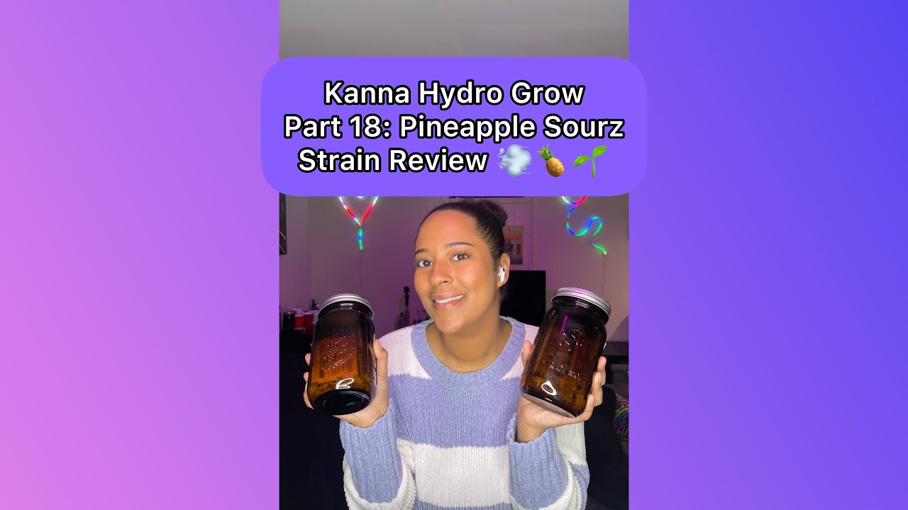 Cannabis Hydro Grow Part 18: Pineapple Sourz Strain Review 💨🍍🌱 (January 16th 2024)