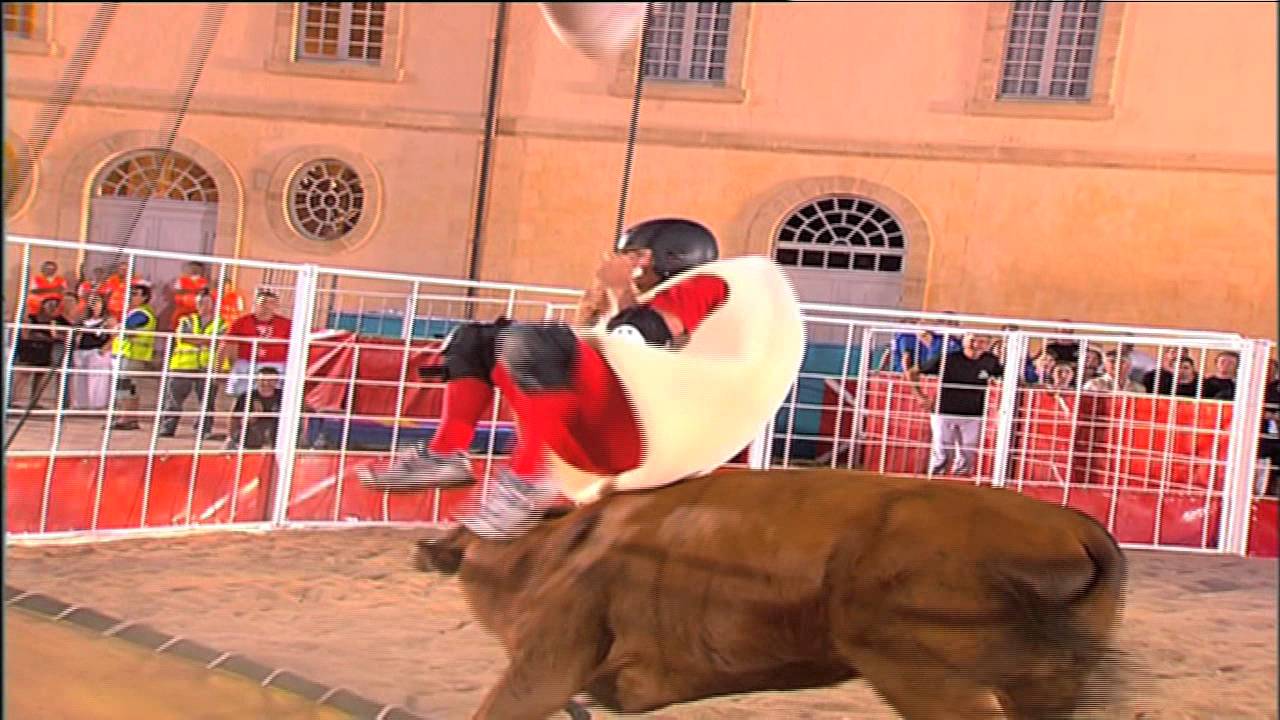 Intervilles : 50 ans de vachettes