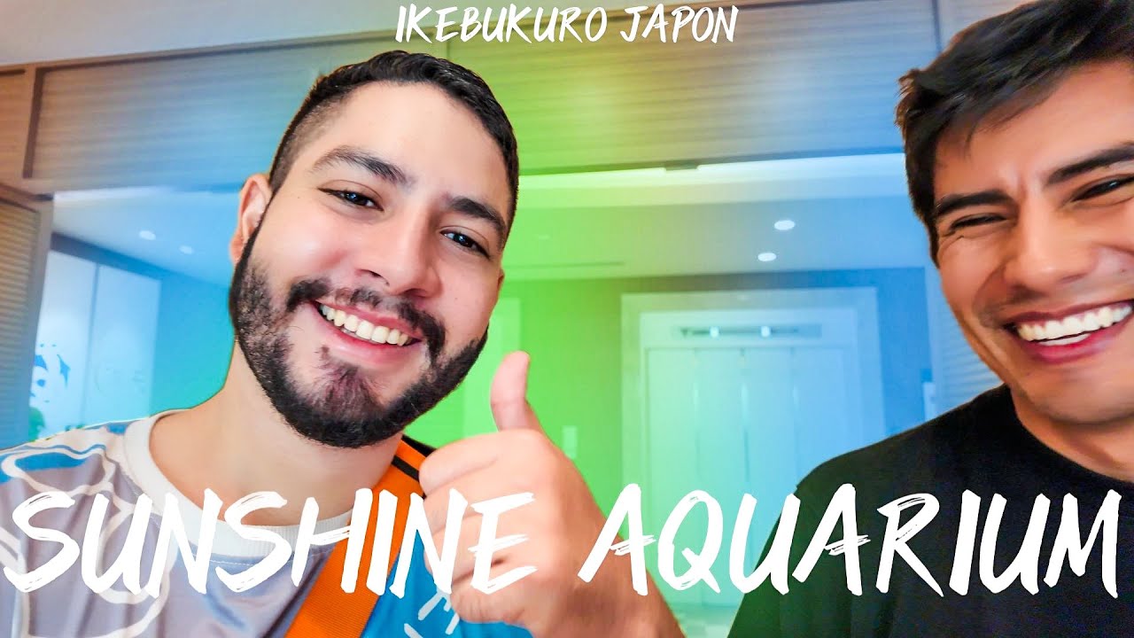Pingüinos en el cielo de Tokio: mi visita al Sunshine Aquarium 🐧🌆