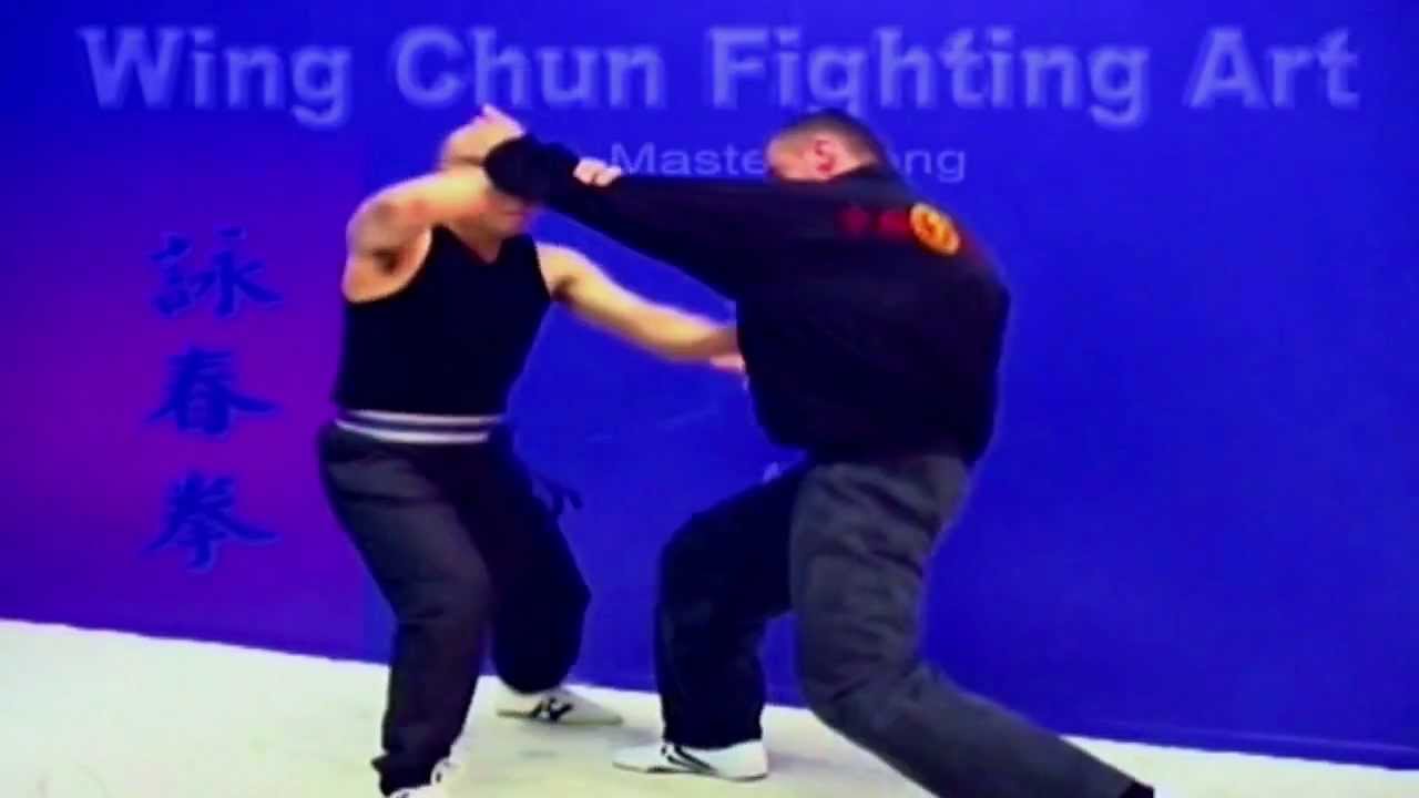 Wing Chun kung fu - Fight Art Lesson 2