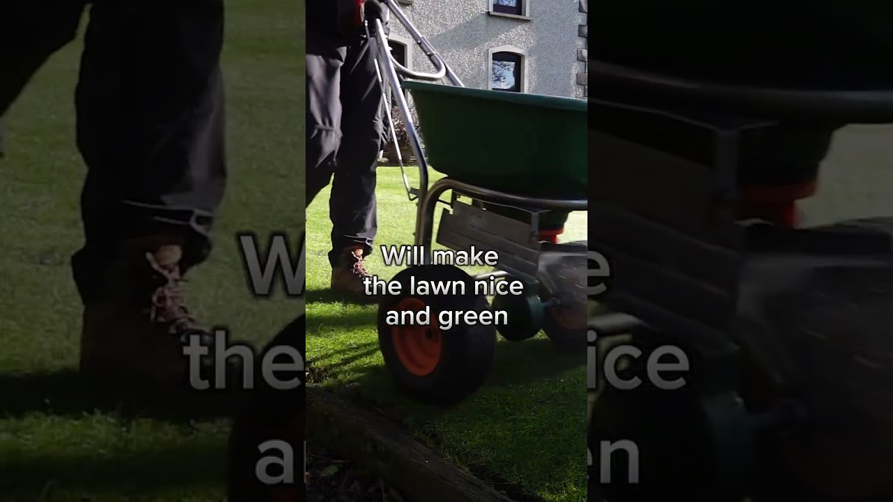 Use this CHEAP fertiliser to get an AMAZING GREEN lawn