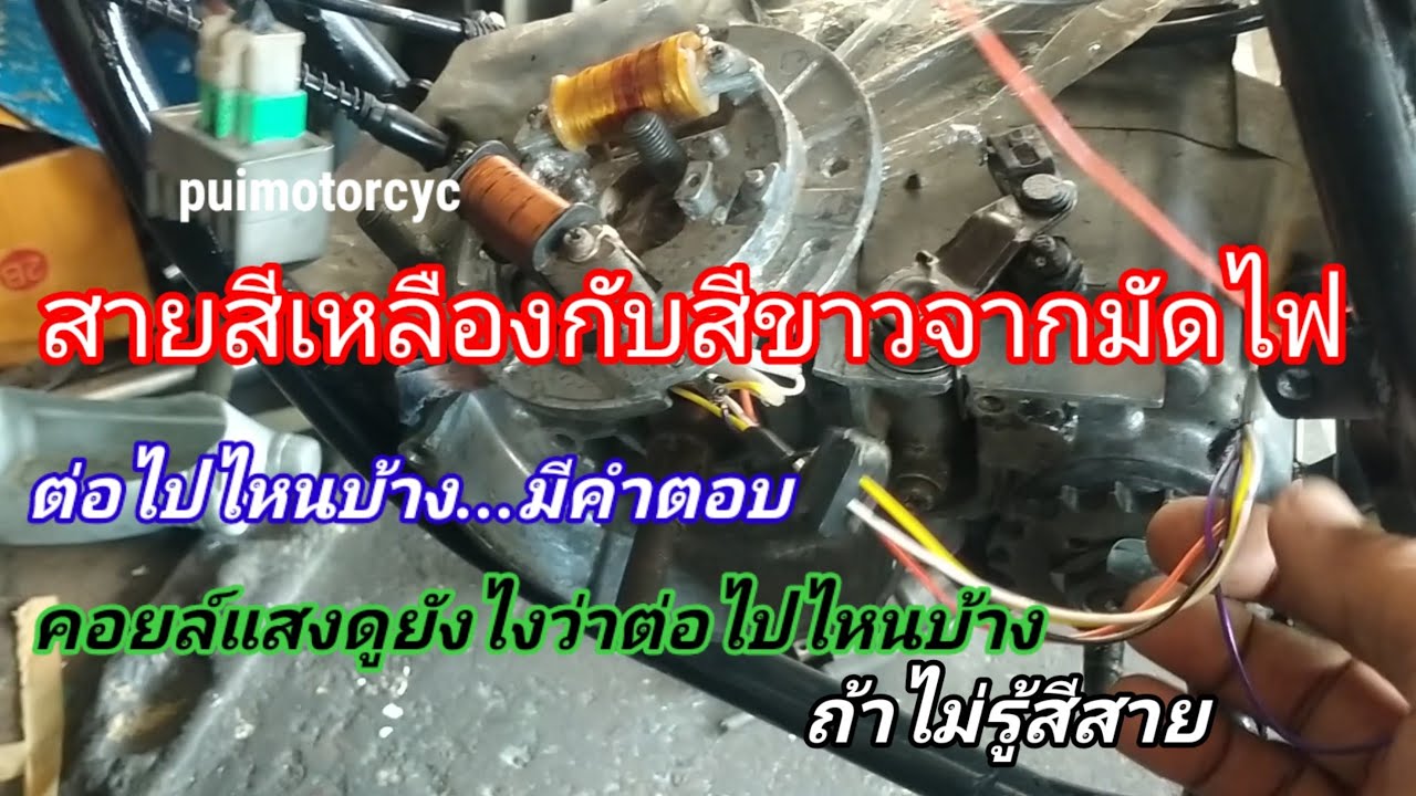 สาย2เส้นจากจานไฟต่อ ไปไหนบ้าง??? มีคำตอบ คอยล์แสงดูยังไงเส้นไหนไปไฟหน้า???