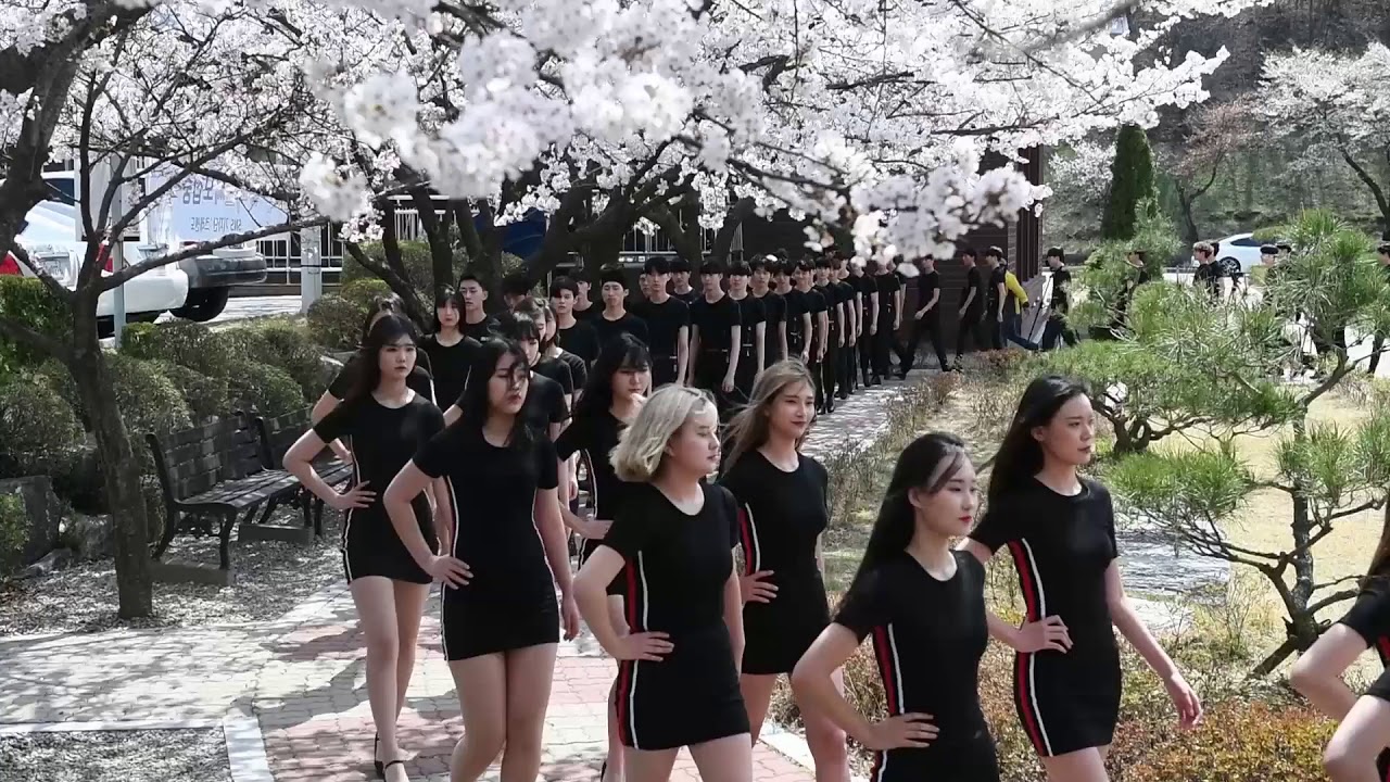 대덕대 모델학과 야외수업
