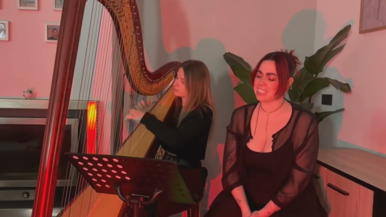 Back to black - Amy Winehouse (harp & voice)