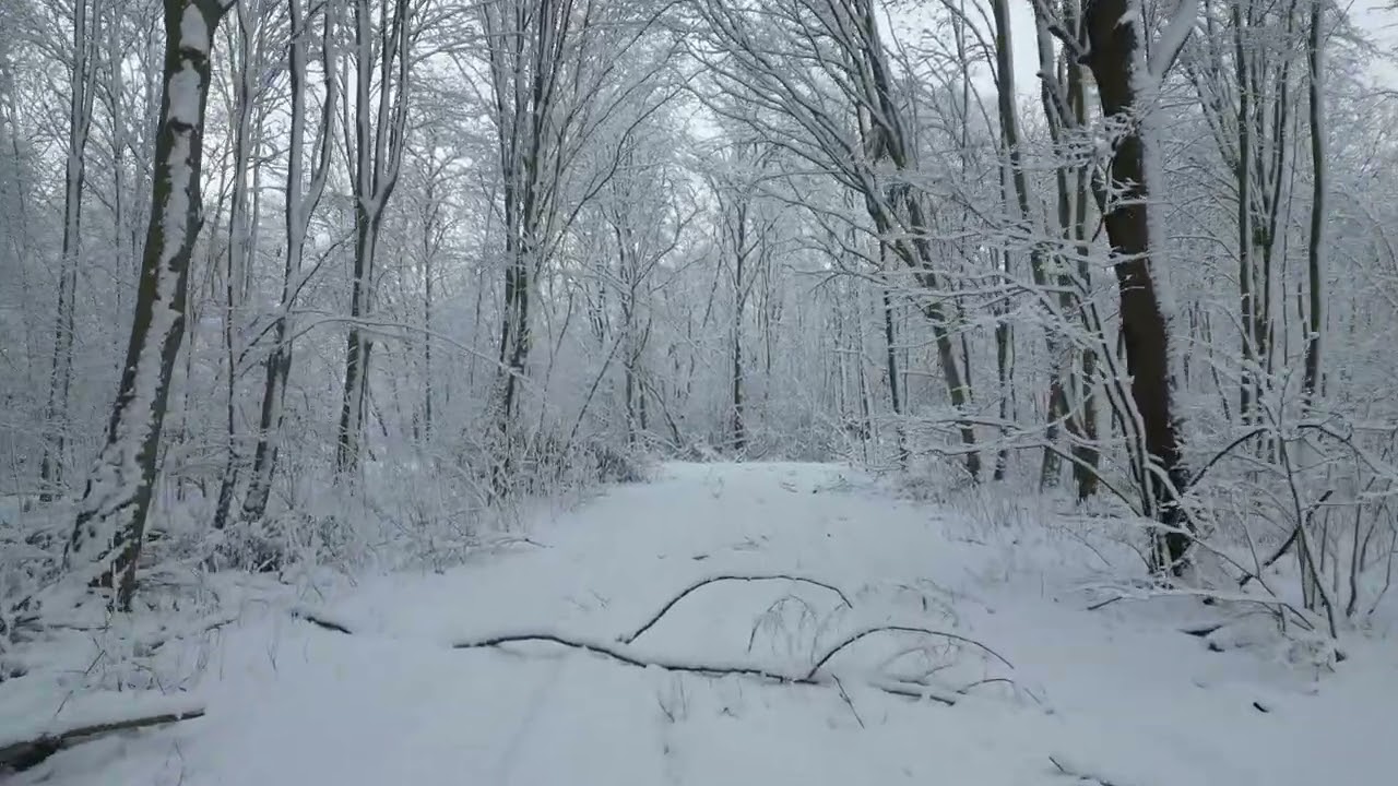 Sneeuw Nederland Almere  5-1-2026
